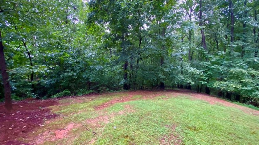 CUSTOM-BUILT LAKE LANIER ESCAPE. Over ONE acre! Permitted Swim - photo 50