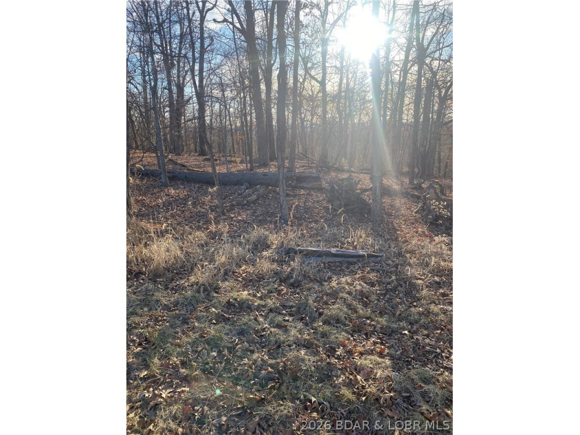 Prime Development Opportunity on Horseshoe Bend Parkway. This 5 - photo 2
