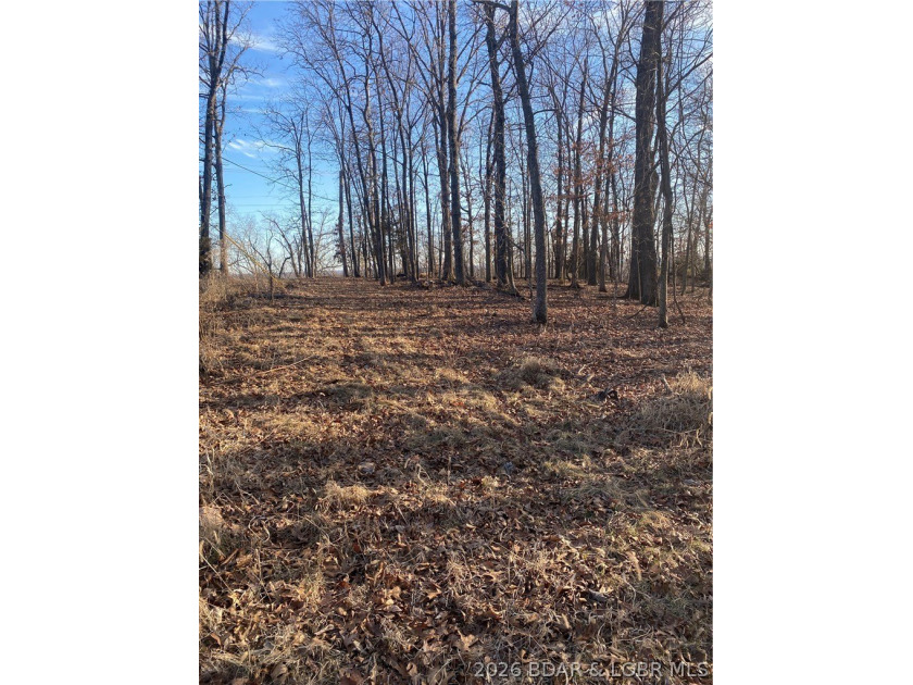 Prime Development Opportunity on Horseshoe Bend Parkway. This 5 - photo 3