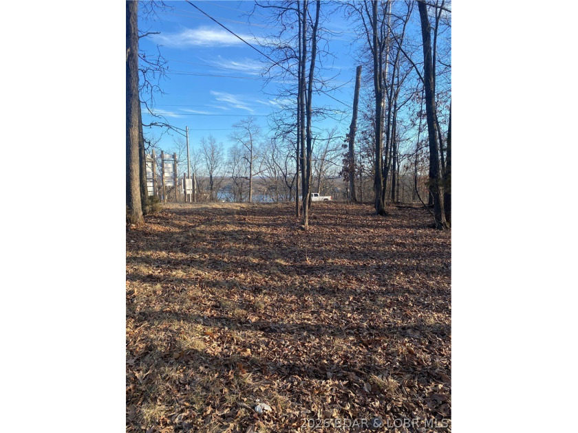 Prime Development Opportunity on Horseshoe Bend Parkway. This 5 - photo 5