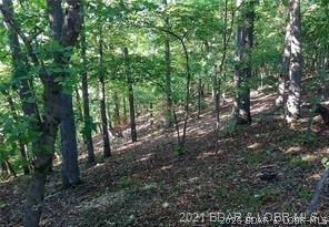 Prime Lakefront Development Opportunity! An incredible location - photo 7