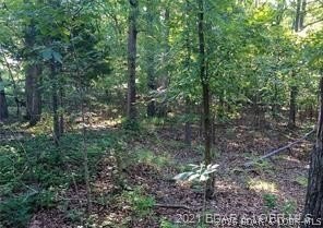 Prime Lakefront Development Opportunity! An incredible location - photo 8