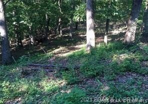 Prime Lakefront Development Opportunity! An incredible location - photo 9