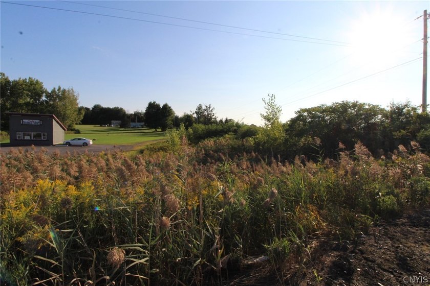 27.88 ACRES RIGHT OFF INTERSTATE-81. EXIT 32!!, * Minutes from - photo 26