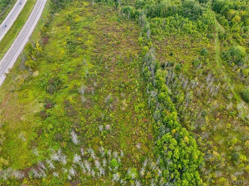 27.88 ACRES RIGHT OFF INTERSTATE-81. EXIT 32!!, * Minutes from - photo 42