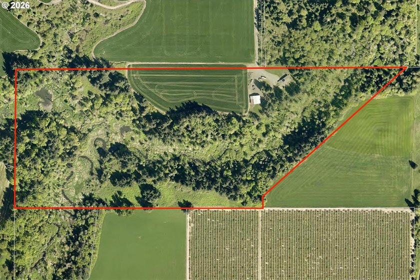 You can have it all! This 64+ Acre farm offers end of the road - photo 3