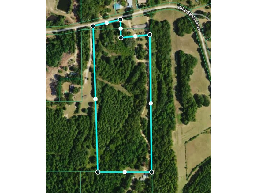 This 15.6 acre parcel has beautiful mature oaks and pine trees - photo 7