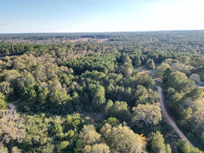 This 15.6 acre parcel has beautiful mature oaks and pine trees - photo 9