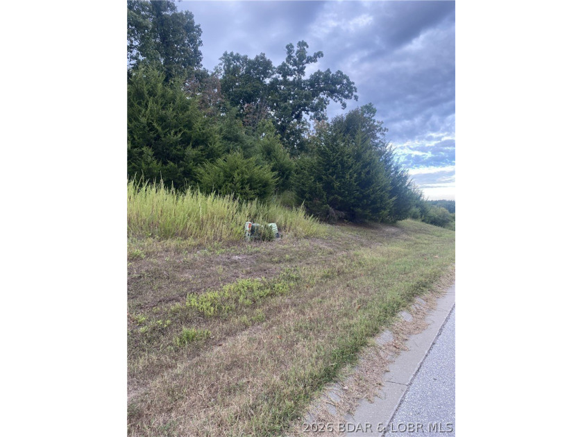 Prime Building Opportunity in Country Club Cove! Located in the - photo 2
