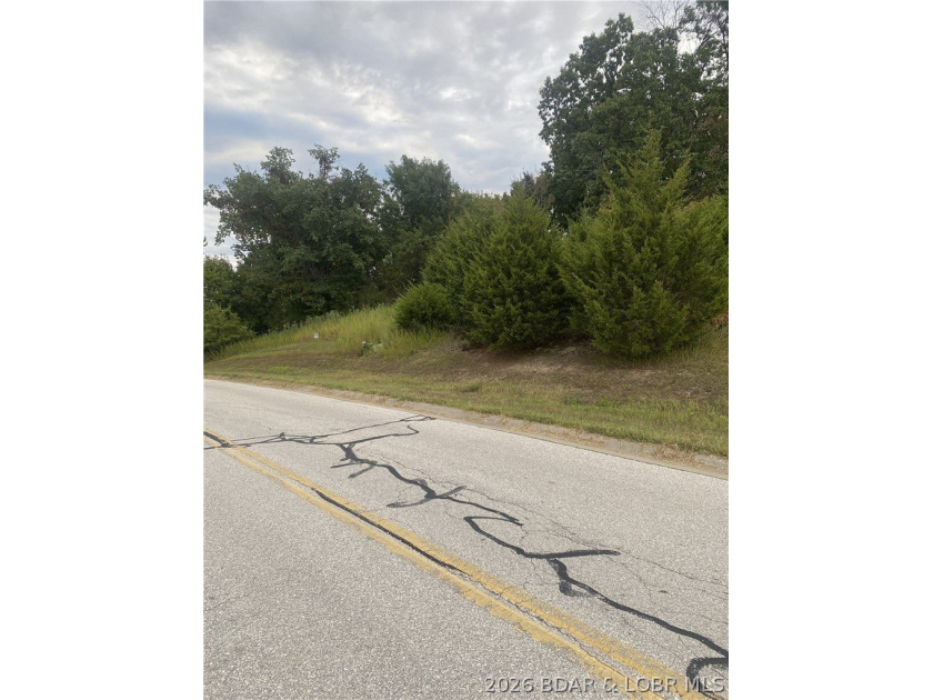 Prime Building Opportunity in Country Club Cove! Located in the - photo 6