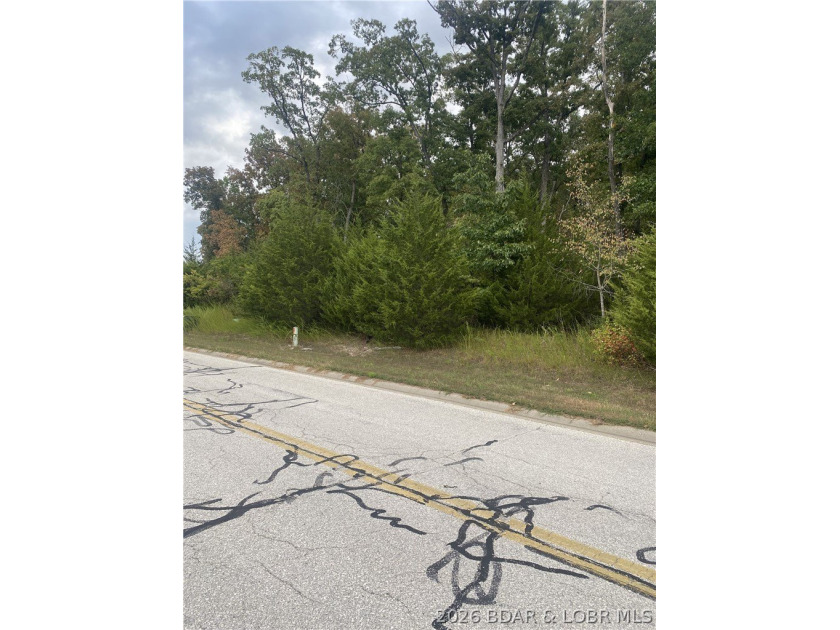 Prime Building Opportunity in Country Club Cove! Located in the - photo 7