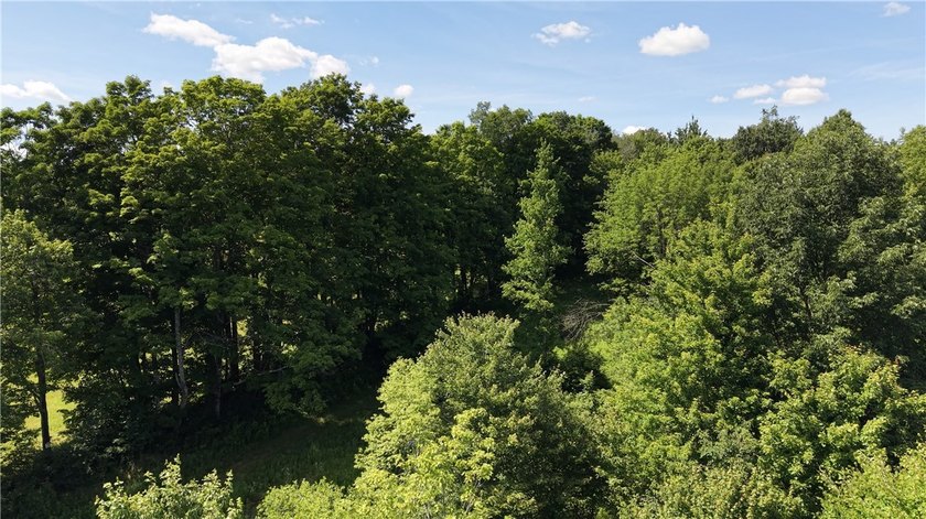 Welcome to Rabbit Path Hideaway --- Gorgeous wooded 26 +/- acres - photo 12