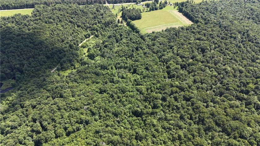 Welcome to Rabbit Path Hideaway --- Gorgeous wooded 26 +/- acres - photo 14
