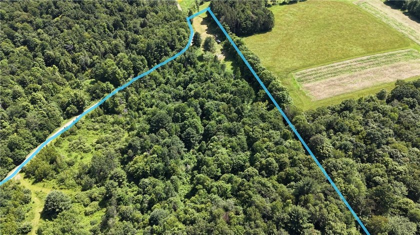 Welcome to Rabbit Path Hideaway --- Gorgeous wooded 26 +/- acres - photo 16