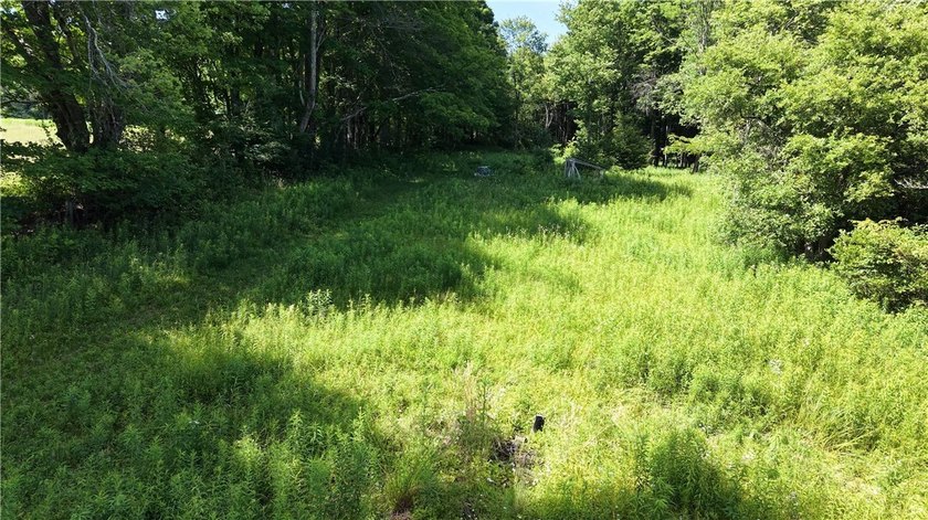 Welcome to Rabbit Path Hideaway --- Gorgeous wooded 26 +/- acres - photo 18