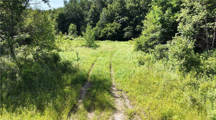 Welcome to Rabbit Path Hideaway --- Gorgeous wooded 26 +/- acres - photo 20
