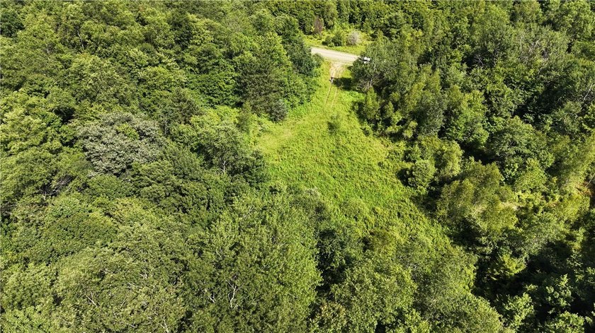 Welcome to Rabbit Path Hideaway --- Gorgeous wooded 26 +/- acres - photo 23