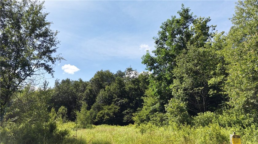 Welcome to Rabbit Path Hideaway --- Gorgeous wooded 26 +/- acres - photo 24