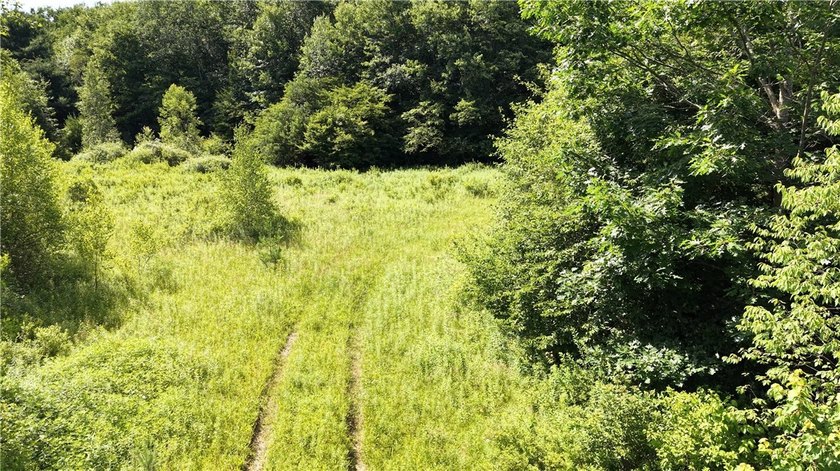Welcome to Rabbit Path Hideaway --- Gorgeous wooded 26 +/- acres - photo 25