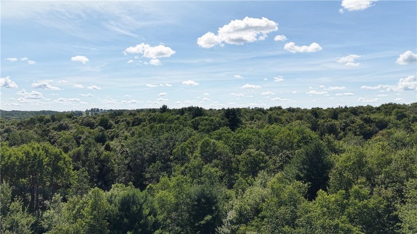 Welcome to Rabbit Path Hideaway --- Gorgeous wooded 26 +/- acres - photo 27