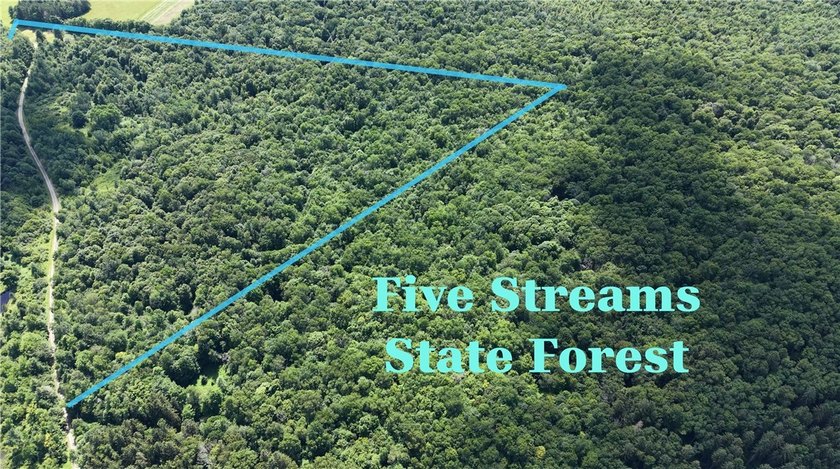Welcome to Rabbit Path Hideaway --- Gorgeous wooded 26 +/- acres - photo 28