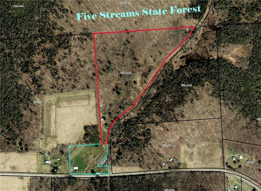 Welcome to Rabbit Path Hideaway --- Gorgeous wooded 26 +/- acres - photo 29