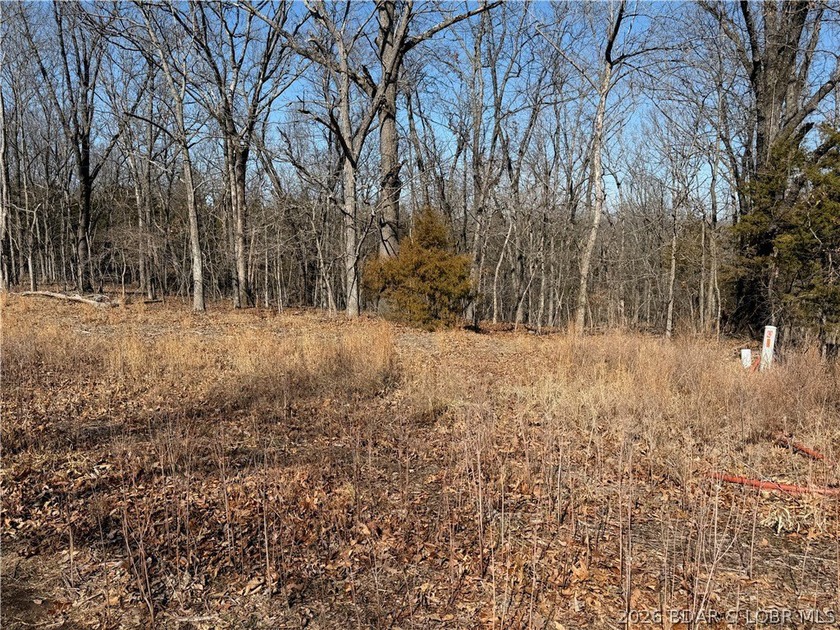 Build your Lake lifestyle here! This lot offers 95 ft of road - photo 2