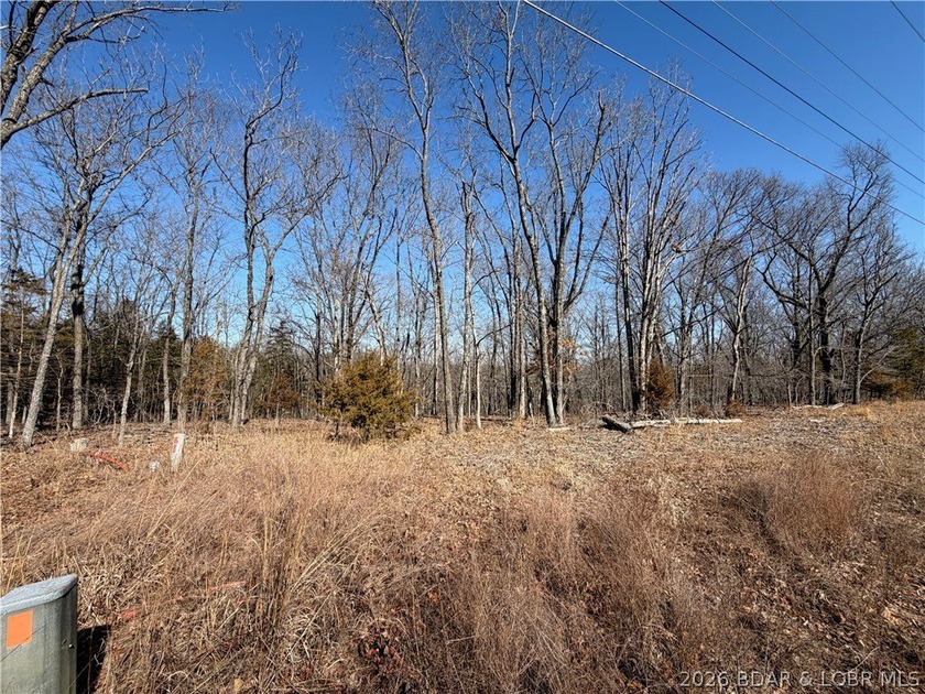 Build your Lake lifestyle here! This lot offers 94 ft of road - photo 3