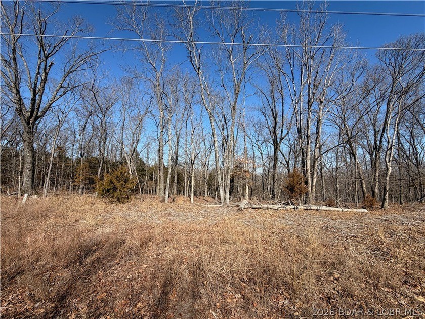 Build your Lake lifestyle here! This lot offers 94 ft of road - photo 4