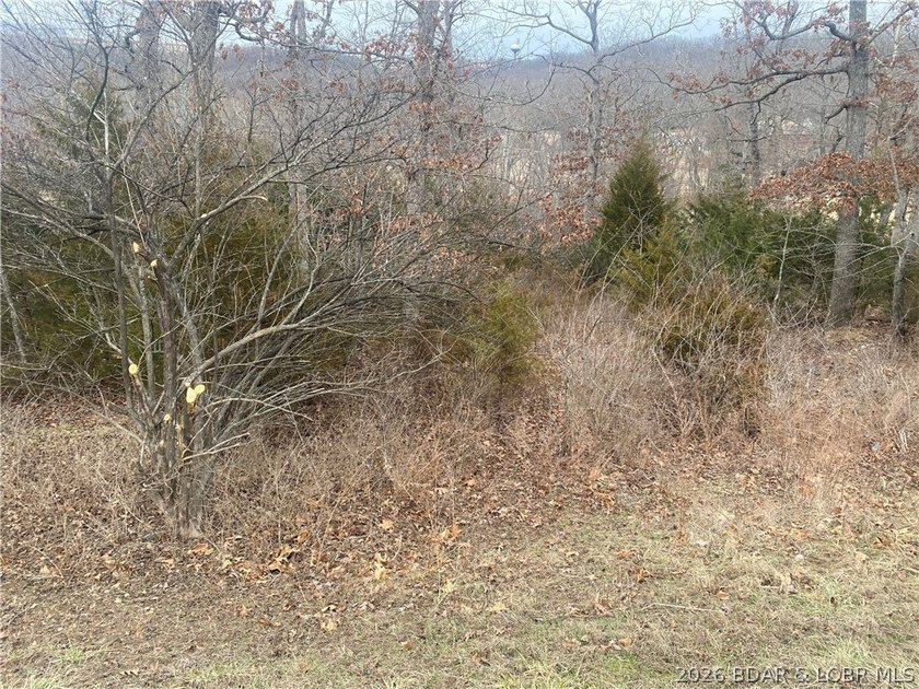 Build your dream home on the fairway in the heart of Four - photo 2