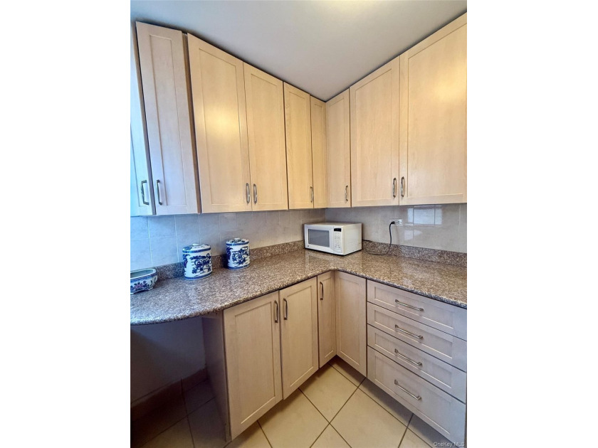 Stunning Renovated 2 Bedroom / Junior 4 Co-op with Lake Views - photo 11