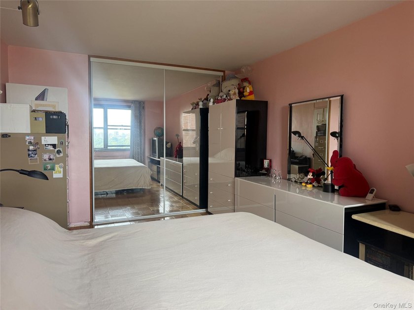 Stunning Renovated 2 Bedroom / Junior 4 Co-op with Lake Views - photo 15