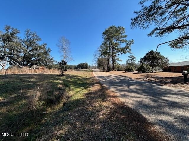 Fantastic 91 acre property in Sandy Hook, MS offering the - photo 11