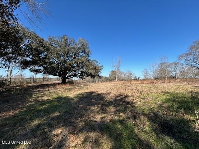 Fantastic 91 acre property in Sandy Hook, MS offering the - photo 12