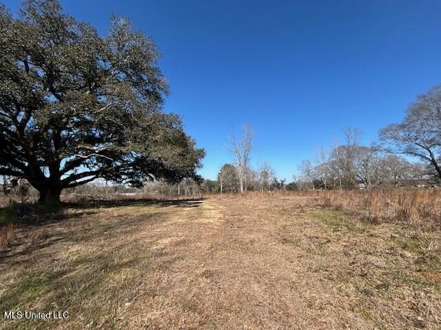 Fantastic 91 acre property in Sandy Hook, MS offering the - photo 13