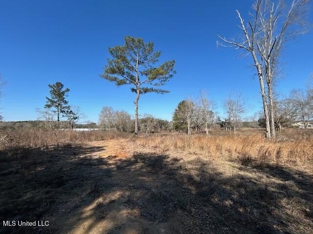 Fantastic 91 acre property in Sandy Hook, MS offering the - photo 15