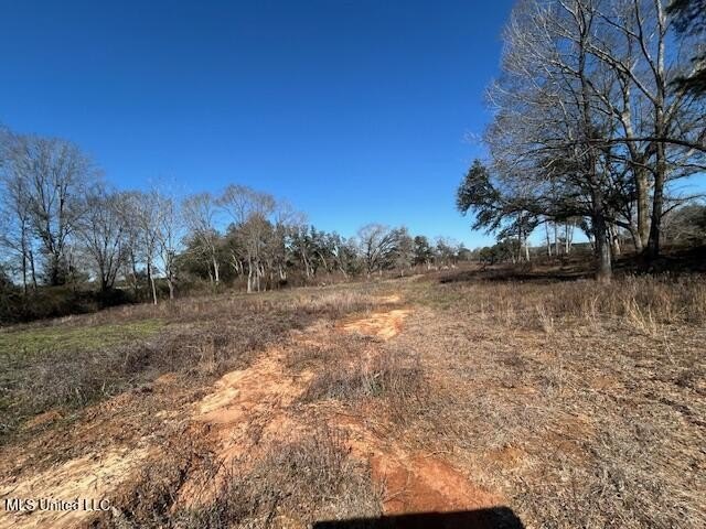 Fantastic 91 acre property in Sandy Hook, MS offering the - photo 18
