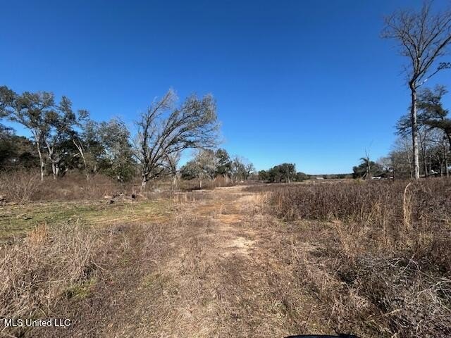 Fantastic 91 acre property in Sandy Hook, MS offering the - photo 19
