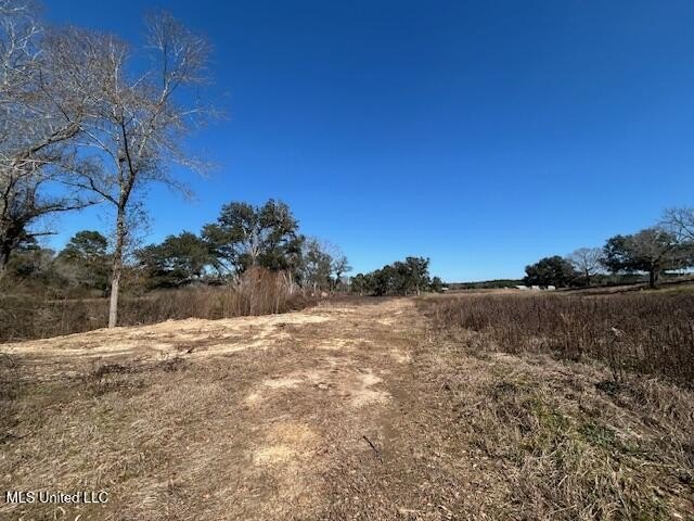 Fantastic 91 acre property in Sandy Hook, MS offering the - photo 20