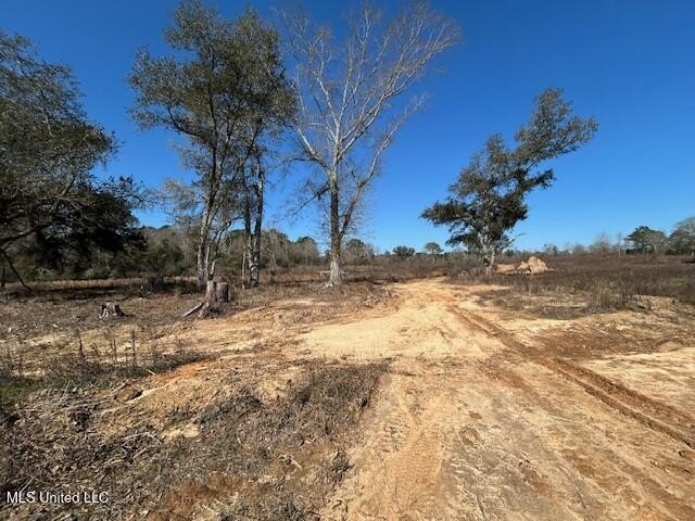 Fantastic 91 acre property in Sandy Hook, MS offering the - photo 22
