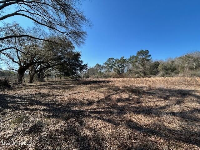 Fantastic 91 acre property in Sandy Hook, MS offering the - photo 23