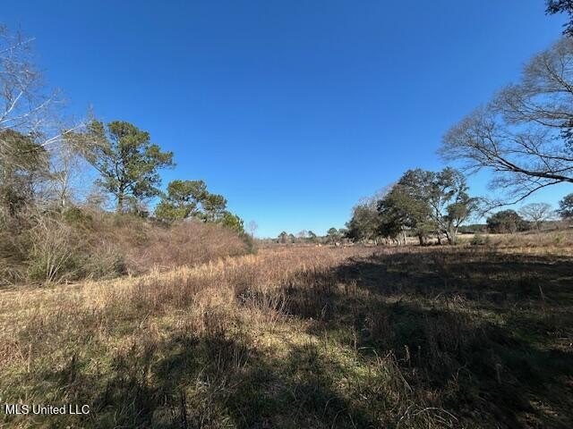Fantastic 91 acre property in Sandy Hook, MS offering the - photo 27