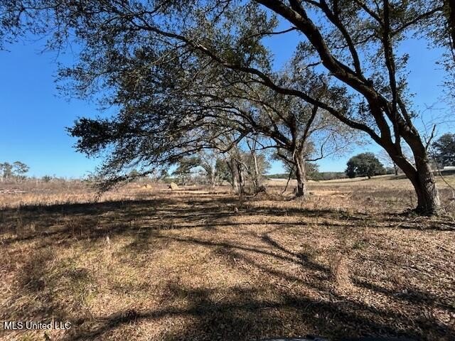 Fantastic 91 acre property in Sandy Hook, MS offering the - photo 28