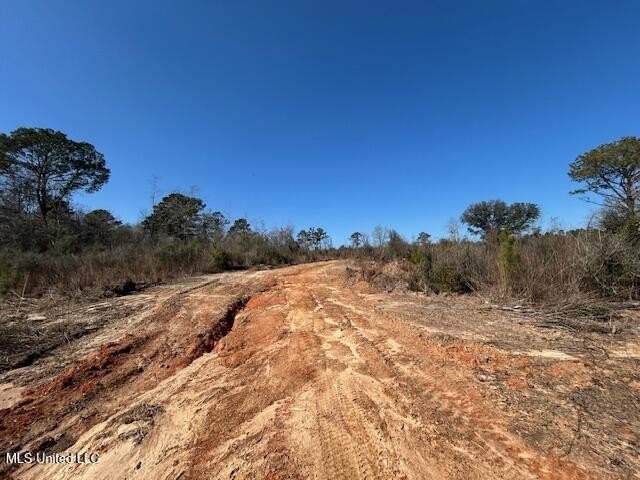 Fantastic 91 acre property in Sandy Hook, MS offering the - photo 32