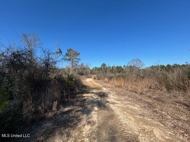 Fantastic 91 acre property in Sandy Hook, MS offering the - photo 34