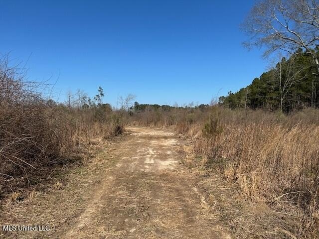 Fantastic 91 acre property in Sandy Hook, MS offering the - photo 36