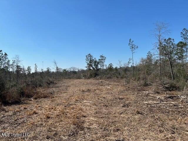 Fantastic 91 acre property in Sandy Hook, MS offering the - photo 38