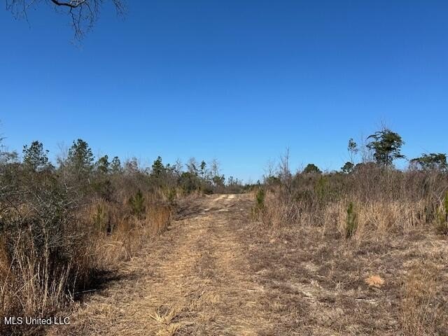 Fantastic 91 acre property in Sandy Hook, MS offering the - photo 39