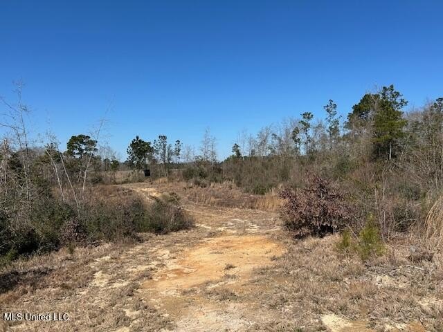 Fantastic 91 acre property in Sandy Hook, MS offering the - photo 40