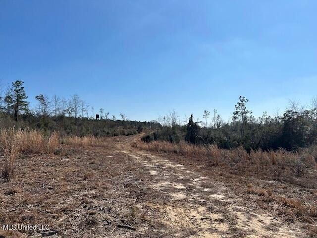 Fantastic 91 acre property in Sandy Hook, MS offering the - photo 43